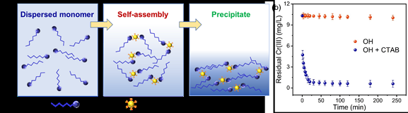 2022年水處理劑陽離子表面活性劑介導的混凝強化去除有毒金屬有機絡合物:性能、機理和驗證