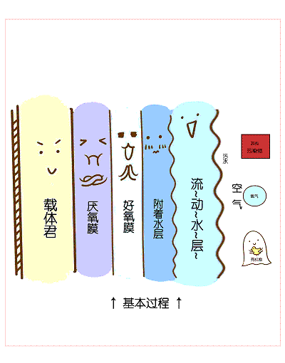 2022年阻垢劑價格國內六大主流污水處理工藝!附詳細介紹!