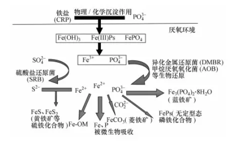 2022年優質水處理材料生產廠家從污水中回收磷