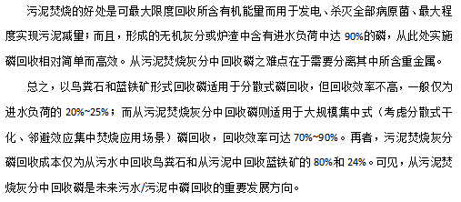 2022年優質水處理材料生產廠家從污水中回收磷