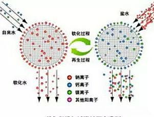 طNVϺdFaSˮ̎W؂֪R---ˮ