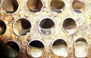 طNVϺdFaSˮ̎W؂֪R---ˮ