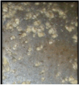 全新3A分子篩生產廠家循環水系統中的鍍鋅塔腐蝕控制指南