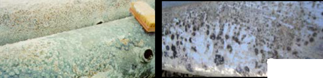 全新3A分子篩生產廠家循環水系統中的鍍鋅塔腐蝕控制指南