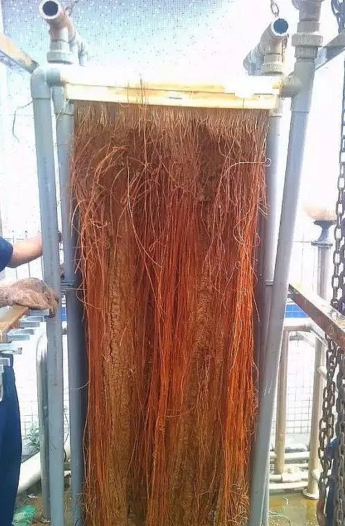 精良活性氧化鋁球濾料廠家關于膜的7個誤解及說明