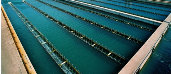 ?j)AʽȻXSˮ3(g)ȼ(j)̎ˇ(ni)ݴȫ