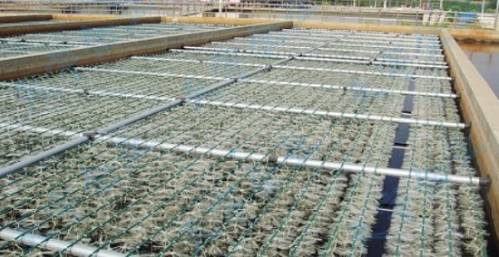 ?j)AʽȻXSˮ3(g)ȼ(j)̎ˇ(ni)ݴȫ