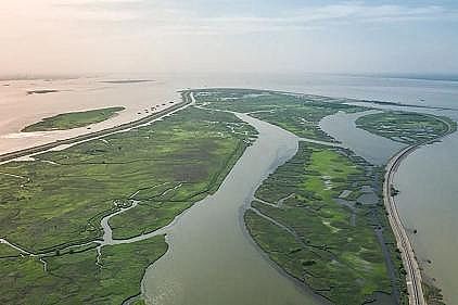 精美組合填料生產廠家你喝的是哪里的水?